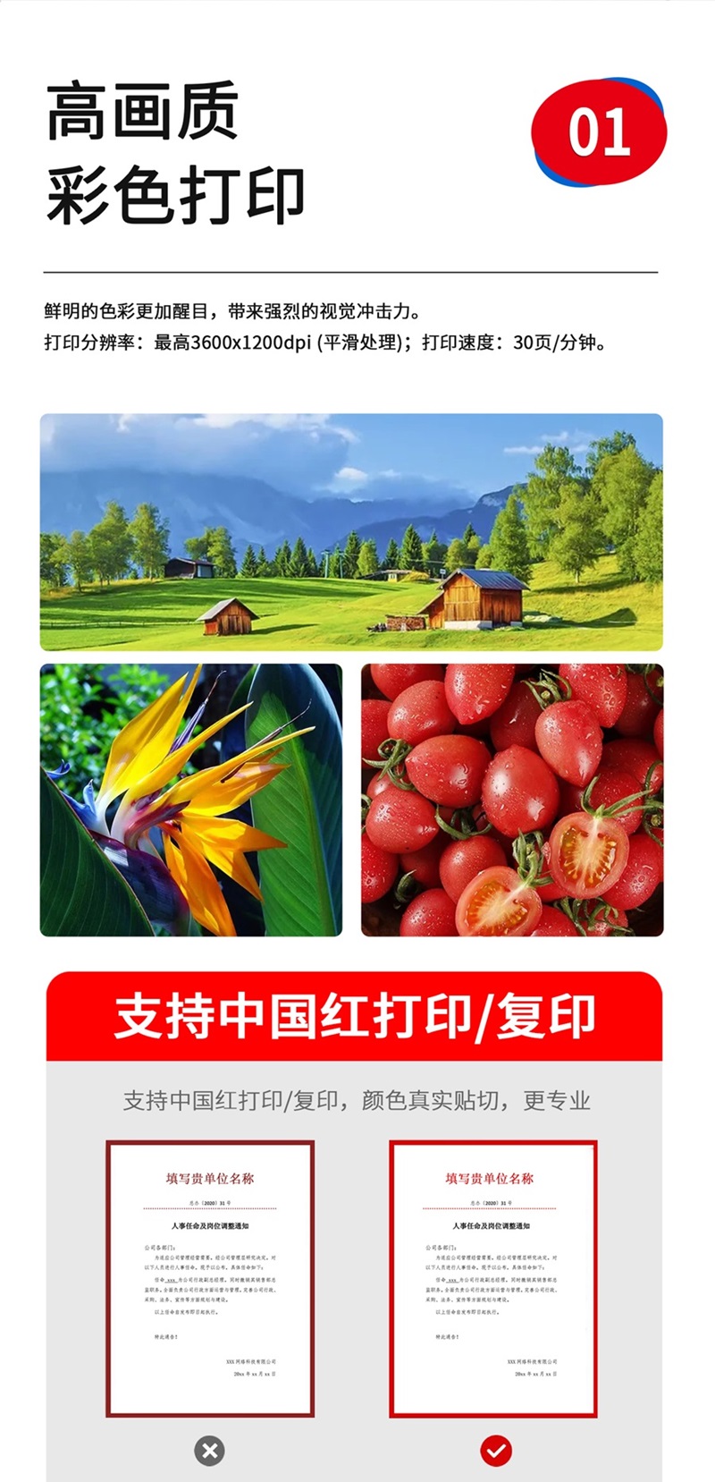 2详图.jpg